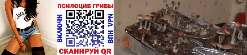 Галлюциногенные грибы прущие грибы  где купить наркоту  Невинномысск 