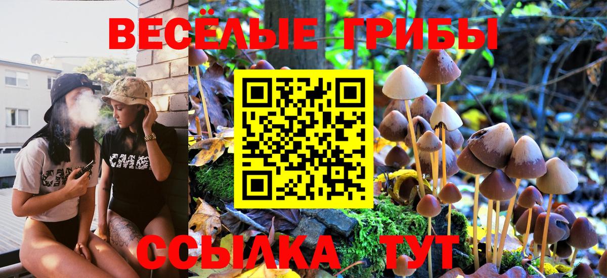 Галлюциногенные грибы Psilocybe Невинномысск