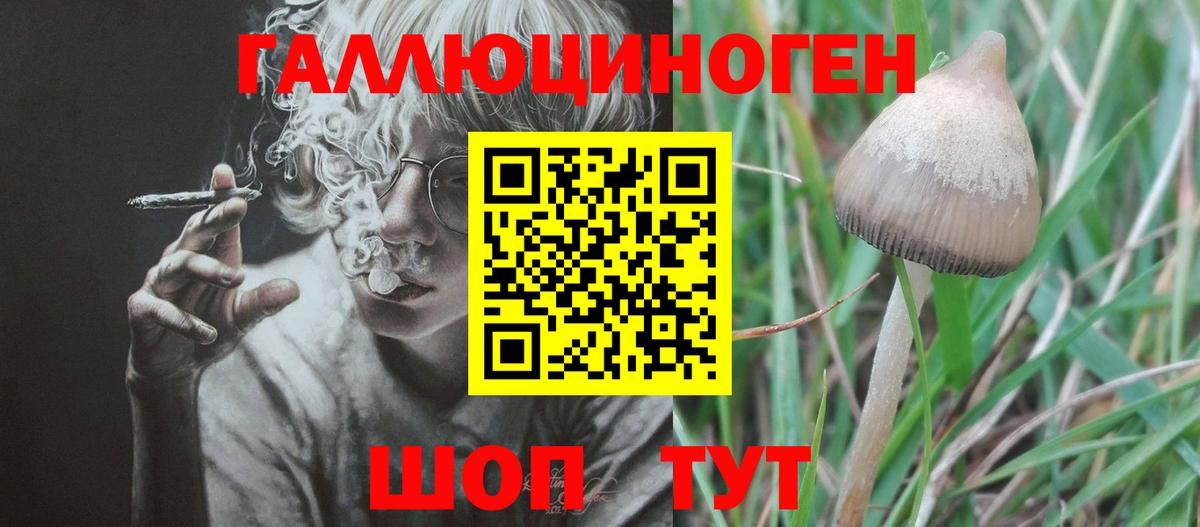 Невинномысск  Псилоцибиновые грибы Magic Shrooms  Вход с VPN 